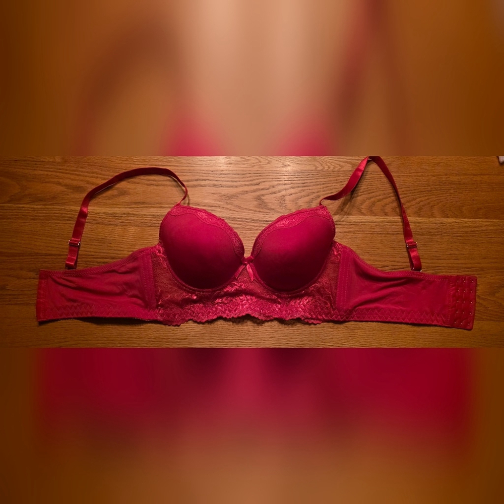 Hush Intimates Red Lace Wide Band Bra